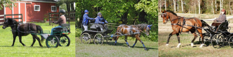 Kutzmann Carriages