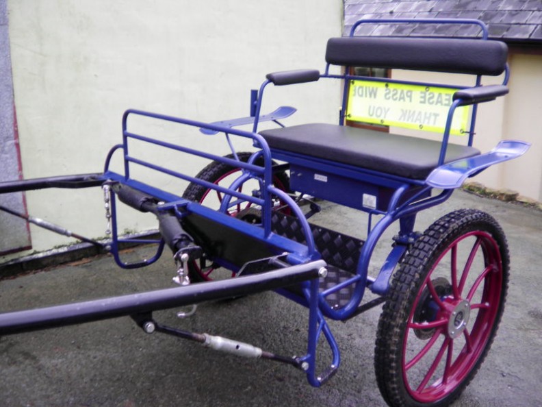 Cruiser Cob (MXC) 12.2-13.3hh. From £3142