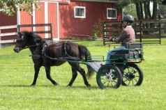 Kutzmann Carriages UK