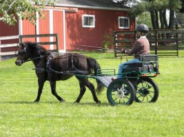 Kutzmann Carriages UK