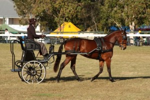 Kutzmann Carriages UK