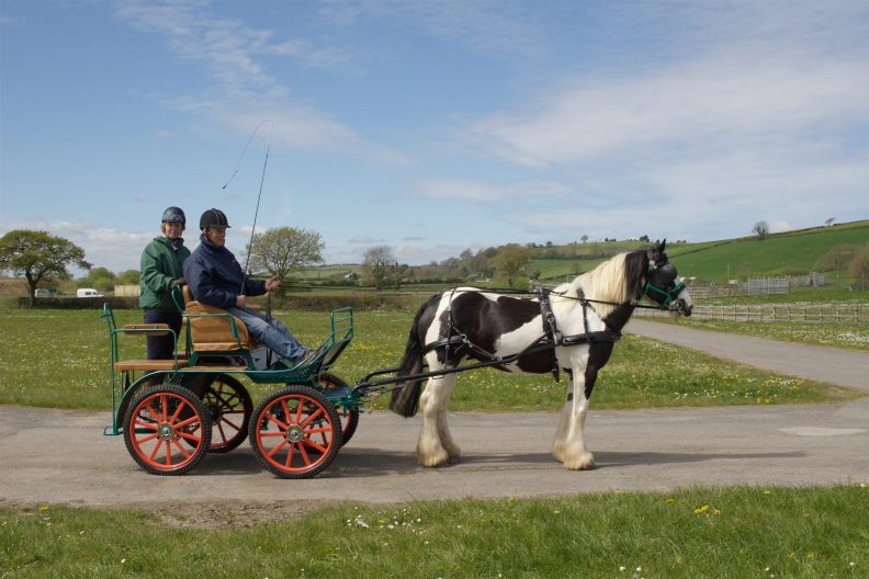 Horse Light Single Second Edition(HL1)  Competition Carriage. 14.2 to 16.2hh. From £5038