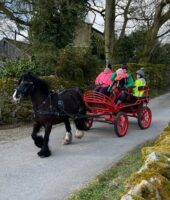 Kutzmann Carriages UK